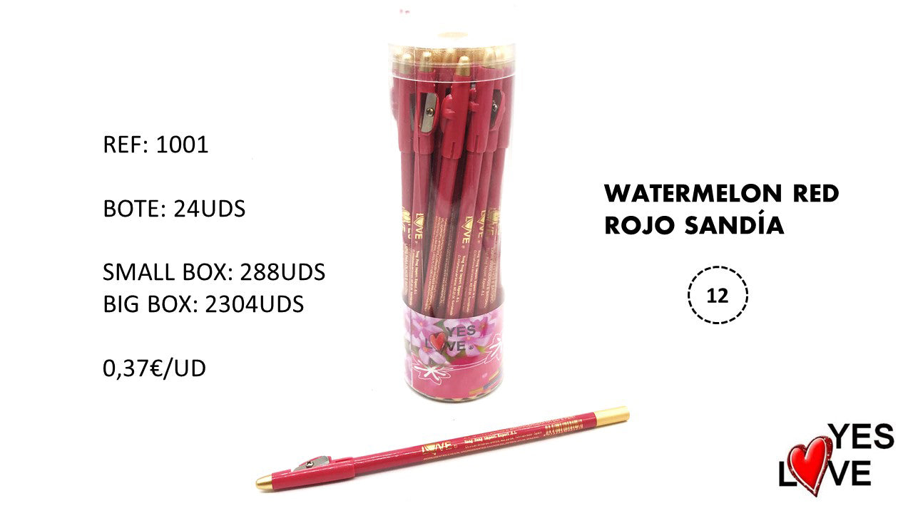 LÁPIZ CON SACAPUNTAS