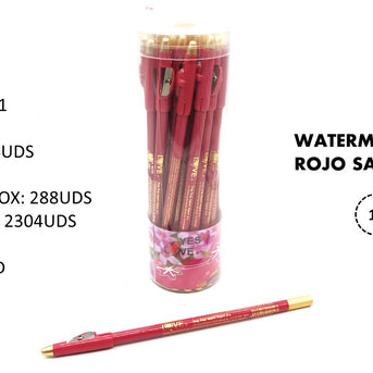 LÁPIZ CON SACAPUNTAS