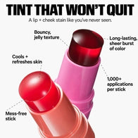 JELLY TINT COLOR STICK